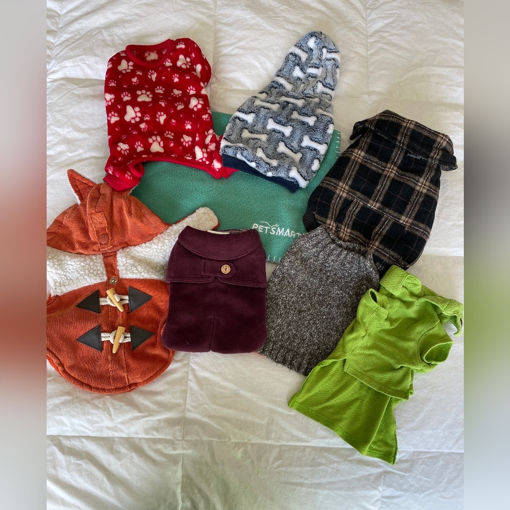 Lot of Extra Small Dog Apparel